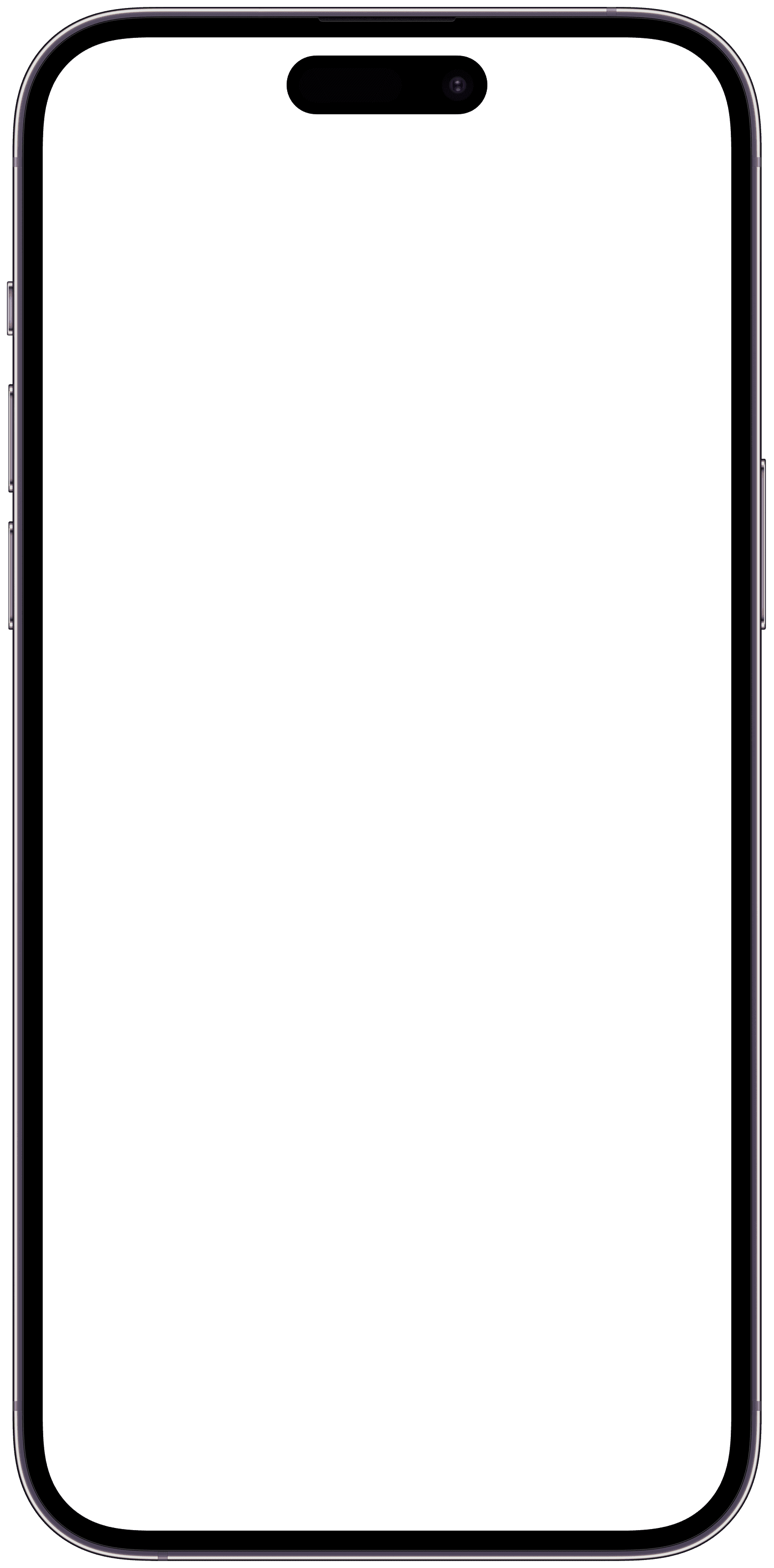 iPhone frame